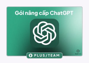 Gói nâng cấp ChatGPT Plus:Team chính chủ